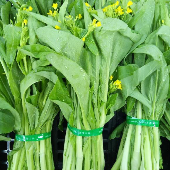 【现摘现发】白菜苔新鲜蔬菜时令爽口脆甜青菜叶类菜小白菜农家