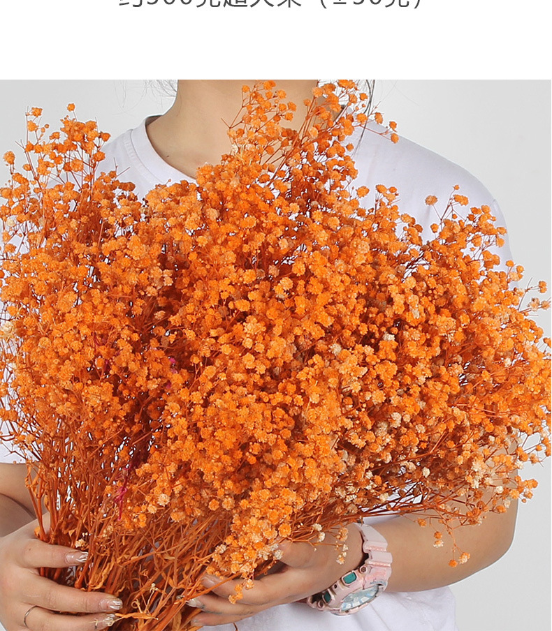 满天星永生花批发满天星干花大量批发500克大把云南昆明工厂直发