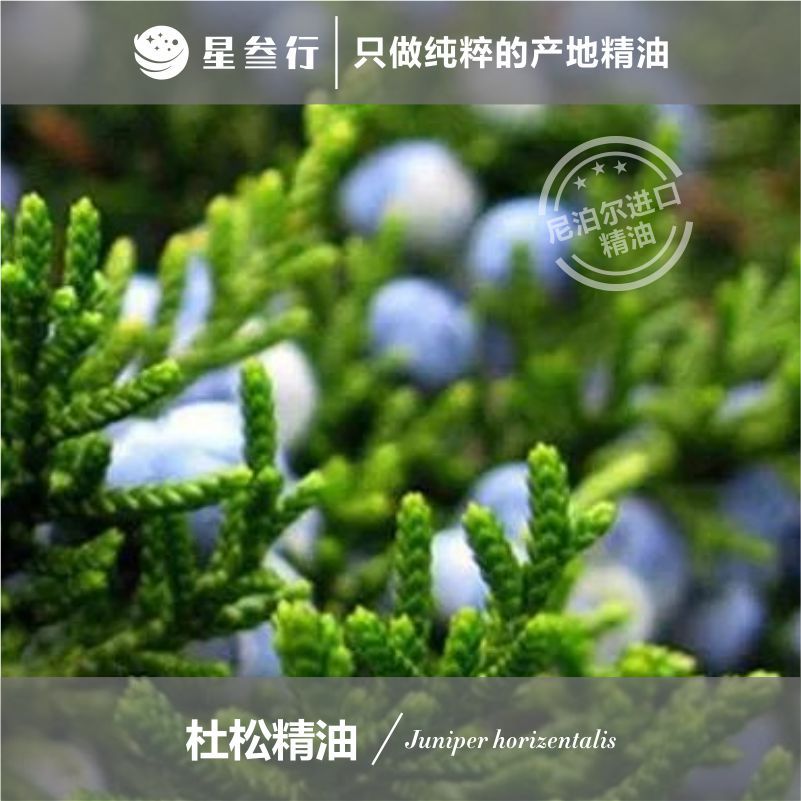 有机杜松精油尼泊尔进口精油芳疗按摩香薰精油植物精油原料批发
