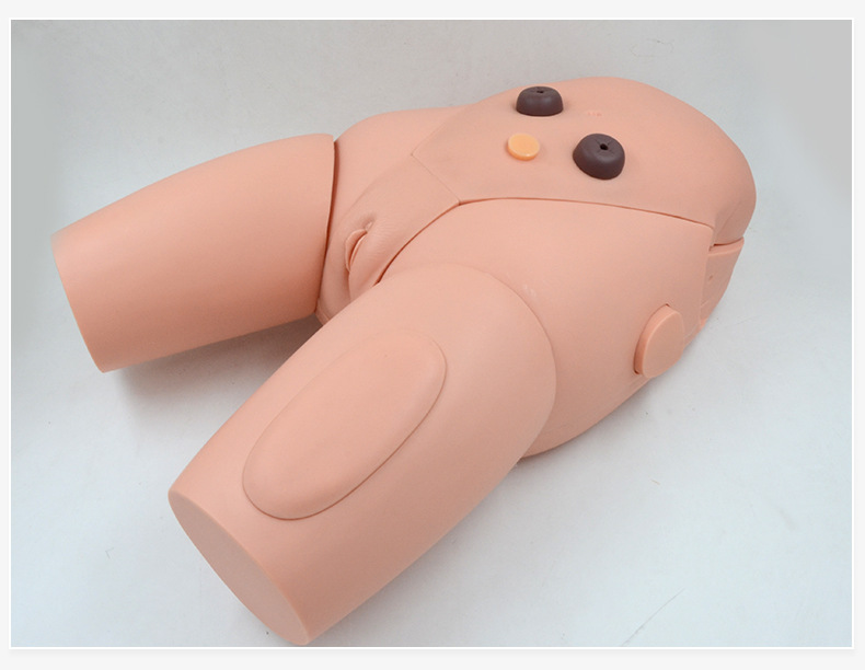 厂家供应人体女性导尿示教模型 导尿术练习护理操作实习模型