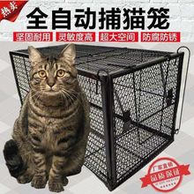 人道救助全自动捕猫笼 捉猫笼 流浪猫救助笼 寻猫 驱赶抓猫笼