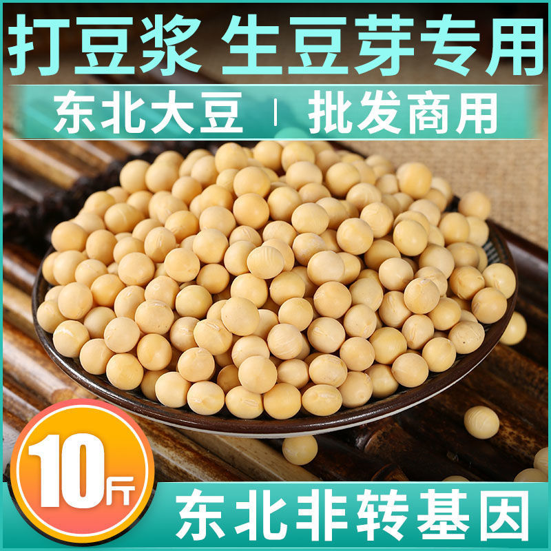 东北黄豆打豆浆生豆芽批发黄豆大粒黑龙江农家五谷粮杂大豆
