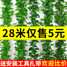 吊顶装饰仿真藤条绿植藤蔓绿叶树叶花藤塑料假花空调管水管道遮挡