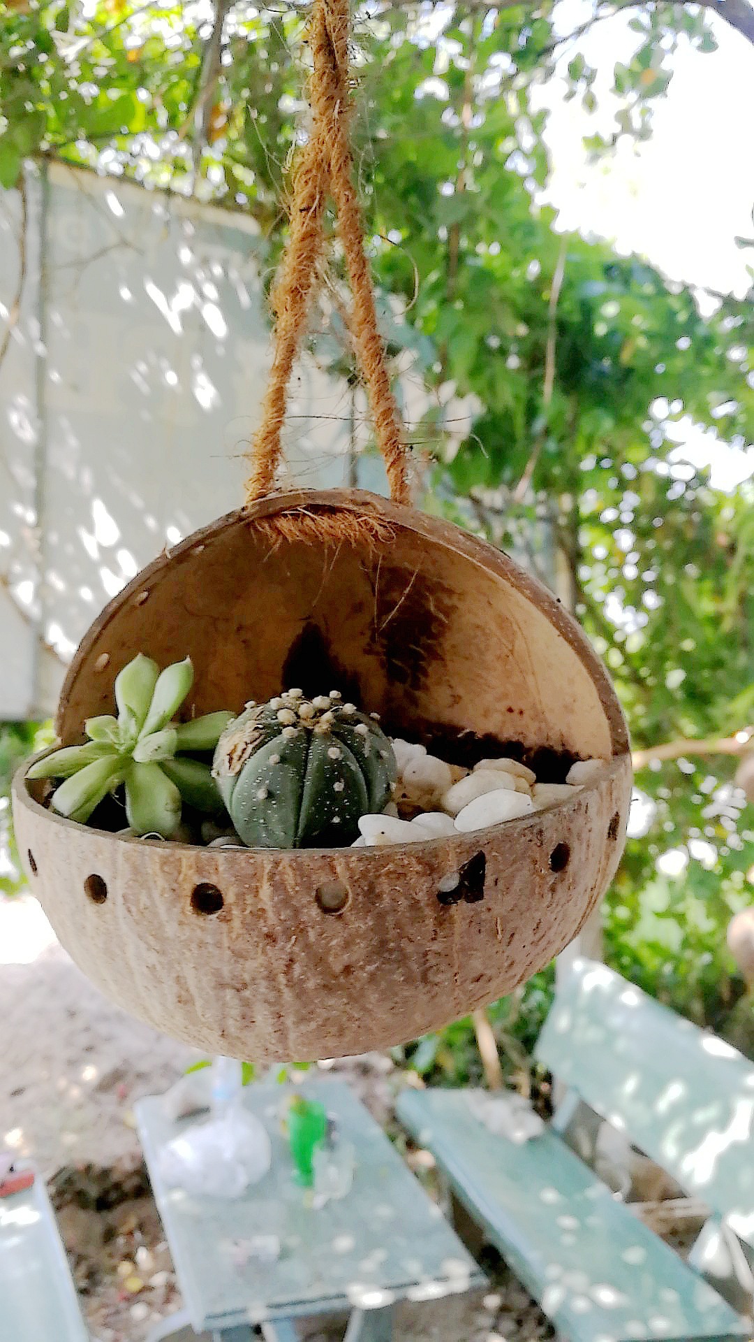 椰壳吊篮花盆 阳台装饰壁挂多肉绿植花艺挂盆 婚庆假花盆水培容器