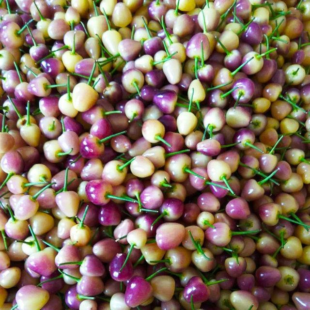 现摘小彩椒广西玉林七彩椒新鲜小灯笼椒五色辣椒五彩椒泡椒特产