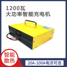 房车汽车电瓶专用磷酸铁锂储能锂电池充电器大功率充电机12v24v