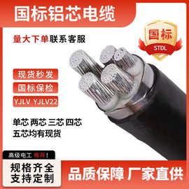 铝芯电缆YJLV,ZC,ZR-YJLV22，1-5芯特价销售合肥厂家铠装电缆