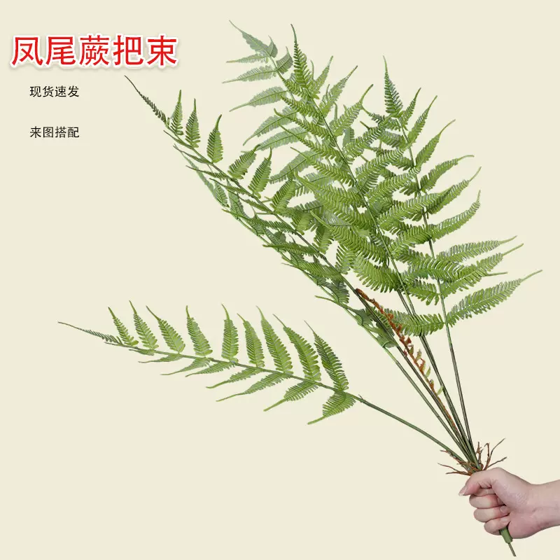 新仿真绿植凤尾蕨室内森系造景苔藓微景观小草盆景装饰摆件假植物