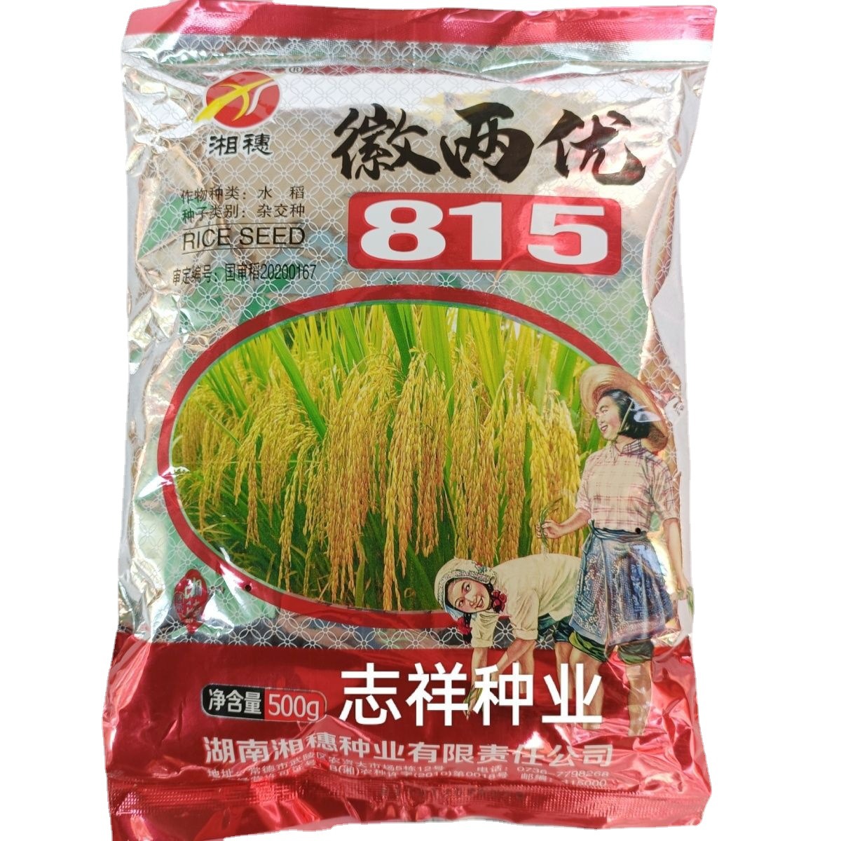 徽两优815籼型杂交水稻种子国审一季中稻稻谷种籽500克