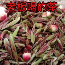 2024年云南头春茶紫芽苞茶古树白芽孢茶普洱茶生茶野花香散茶