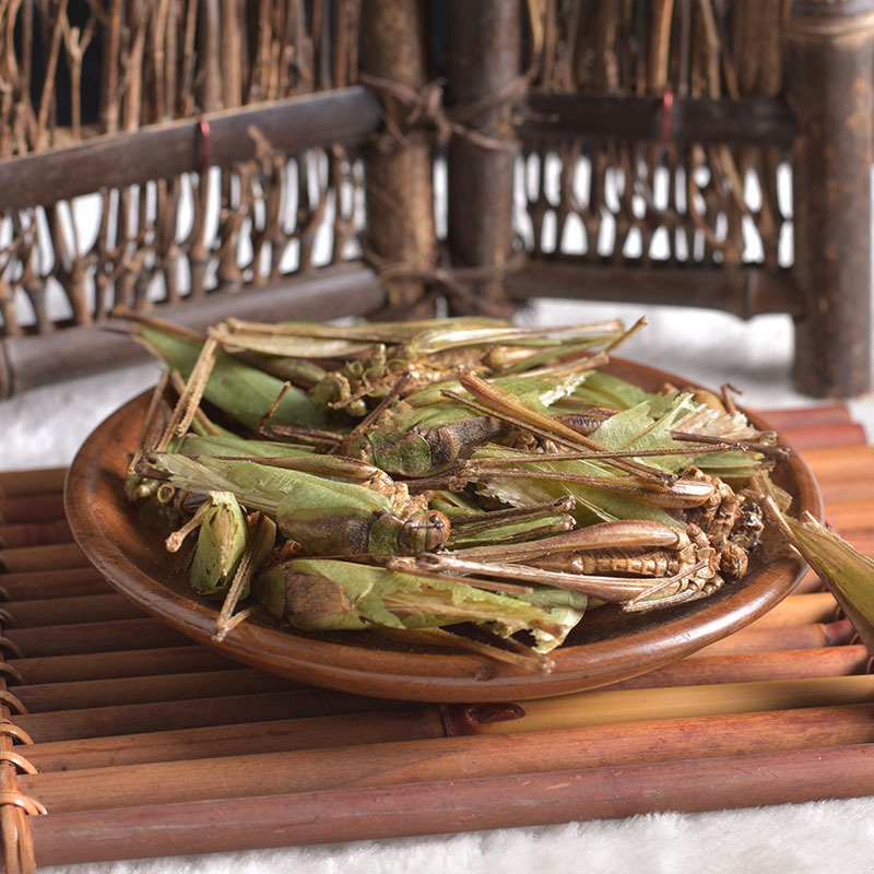 寻千草中药材批发 蝗虫 大蝗虫 新货无硫 支持检测 一件代发货