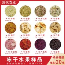 冻干水果样品全品类多规格冻干水果蔬菜烘焙原料餐饮配菜宠物零食