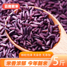 云南紫米5斤 农家自产紫糯米/血/黑糯米菠萝饭原料五谷杂粮粗粮25