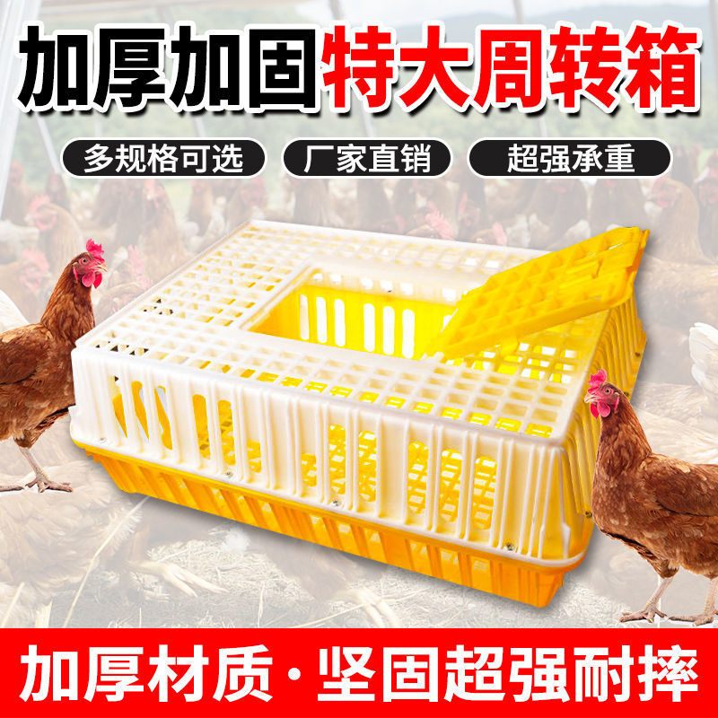 鸡笼运输笼塑料家禽周转箱筐成鸡鸭鹅鸽子笼子家用大号兔笼养殖笼