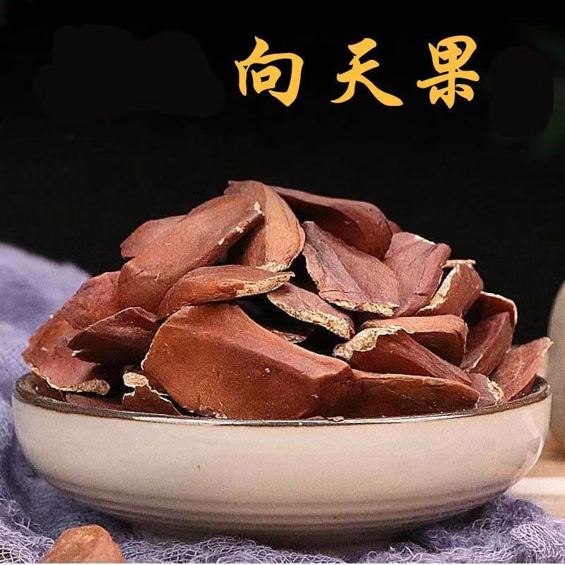 向天果 天仙果 大叶桃花心木果 中药材向天果 所罗门新货白果