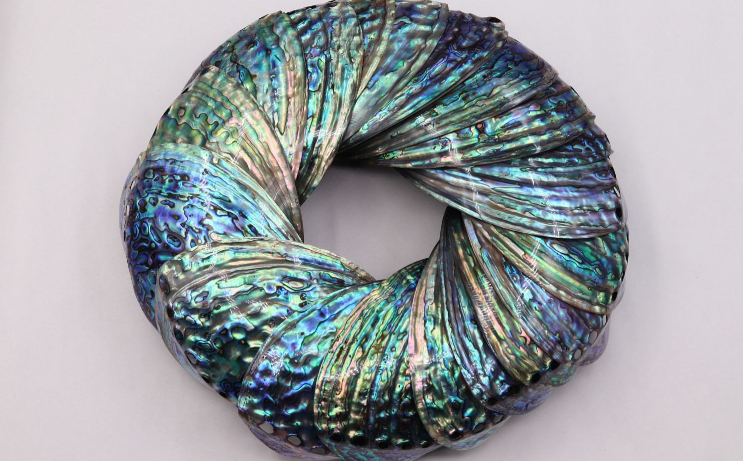 澳洲鲍鱼壳绿唇鲍abalone shell abalone with green lips