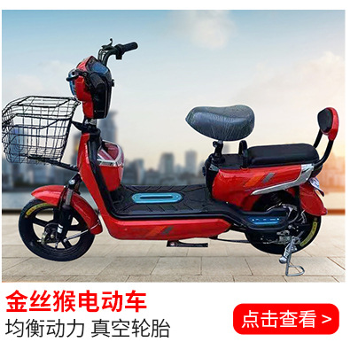 金鹰电动车新国标电动自行车48v两轮成人电动代步电瓶车支持跨境
