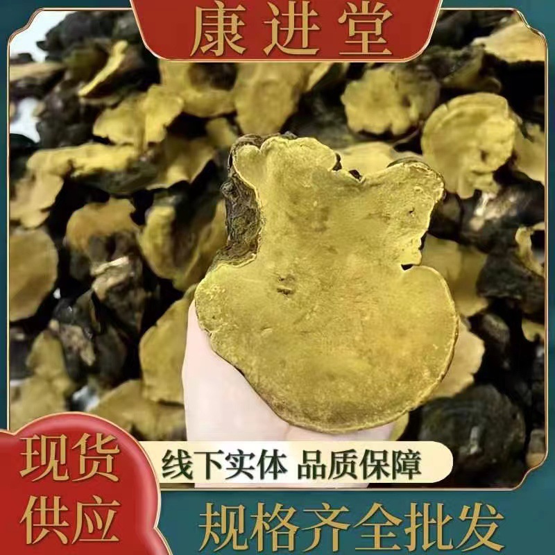 西藏野生桑树桑黄灵芝-阿里巴巴