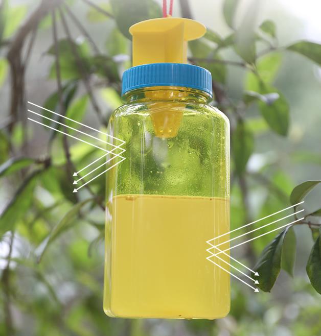 fly catcher捕蝇瓶 捕蝇器 蜜蜂诱捕器 苍蝇诱捕器 捕苍蝇瓶