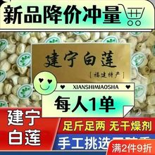 莲子干货建宁新货福建三明农家无芯去芯新鲜通心白莲批发厂家直销