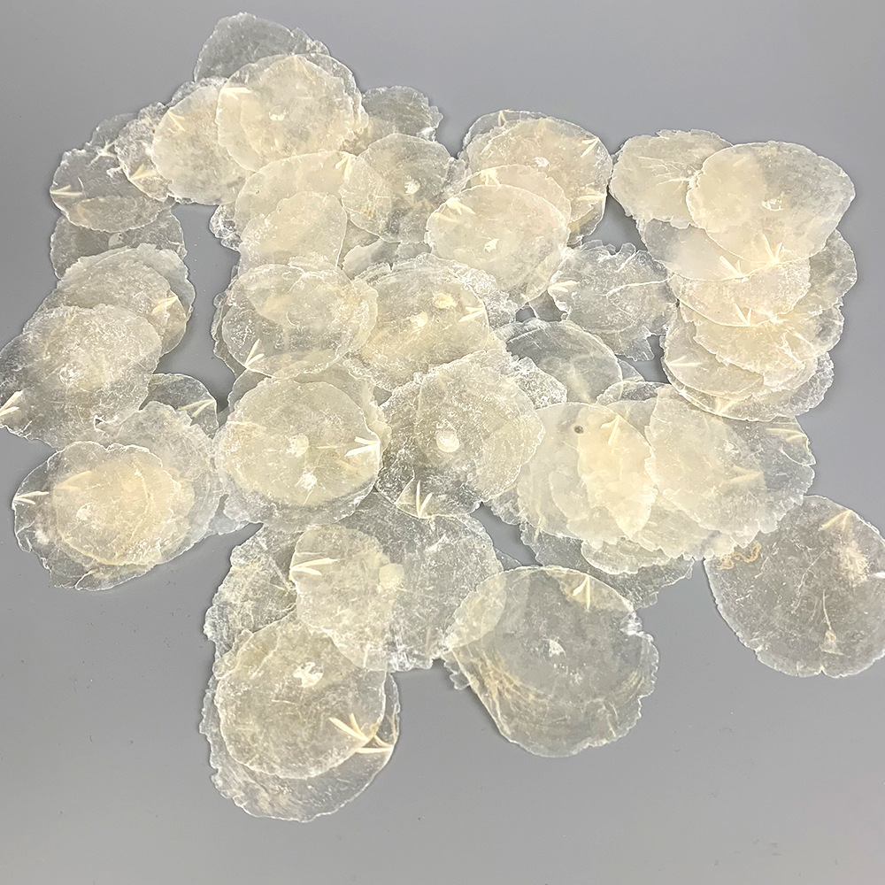 原色镜贝原料贝壳原料镜贝风铃配件装饰材料镜贝圆片天然贝壳材料