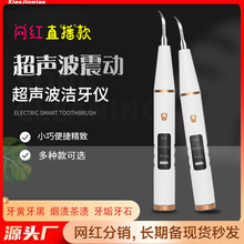 跨境货源DentalScale家用电动洁牙仪去牙垢牙结石超声波洁牙器