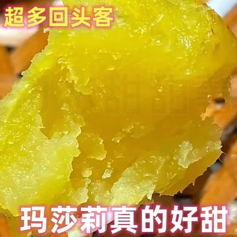 日本玛莎莉红瑶蜜薯鸣门金时地瓜52糖心进口黄心红薯黄金蜜薯