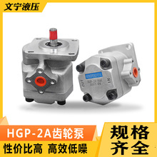 油泵 微型齿轮泵高压HGP-2A-F12R F11R F9R F8R F6R F4R F3R