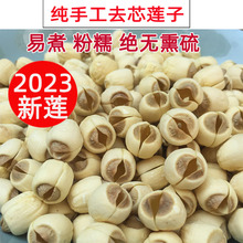 2023新货去芯无芯广昌莲子干货500g特产干货无熏硫白莲