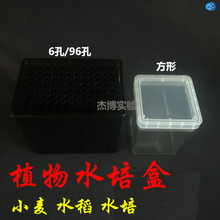 植物水培盒农业方形培育盒黑色组培盒6孔 96孔小麦水稻培养盒避光
