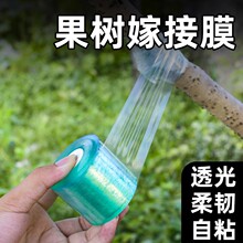 糯米纸嫁接膜膜免拆果树工业pe膜透明胶带接芽自粘式无需打结