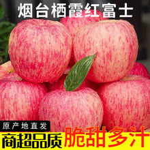 苹果山东烟台栖霞红富士脆甜整箱新鲜当季水果平果一级包邮10斤