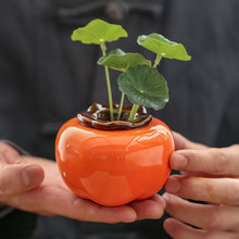 柿子水培缸绿萝水培容器创意花瓶插花瓶子桌面水养植物器皿花盆装