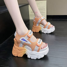 New Summer Ladies Sandals Platform Platform Shoes Casual跨境