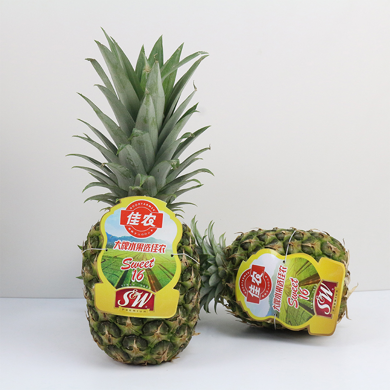 菲律宾凤梨新鲜水果进口sw都乐ev佳农大果菲律宾凤梨批发源头