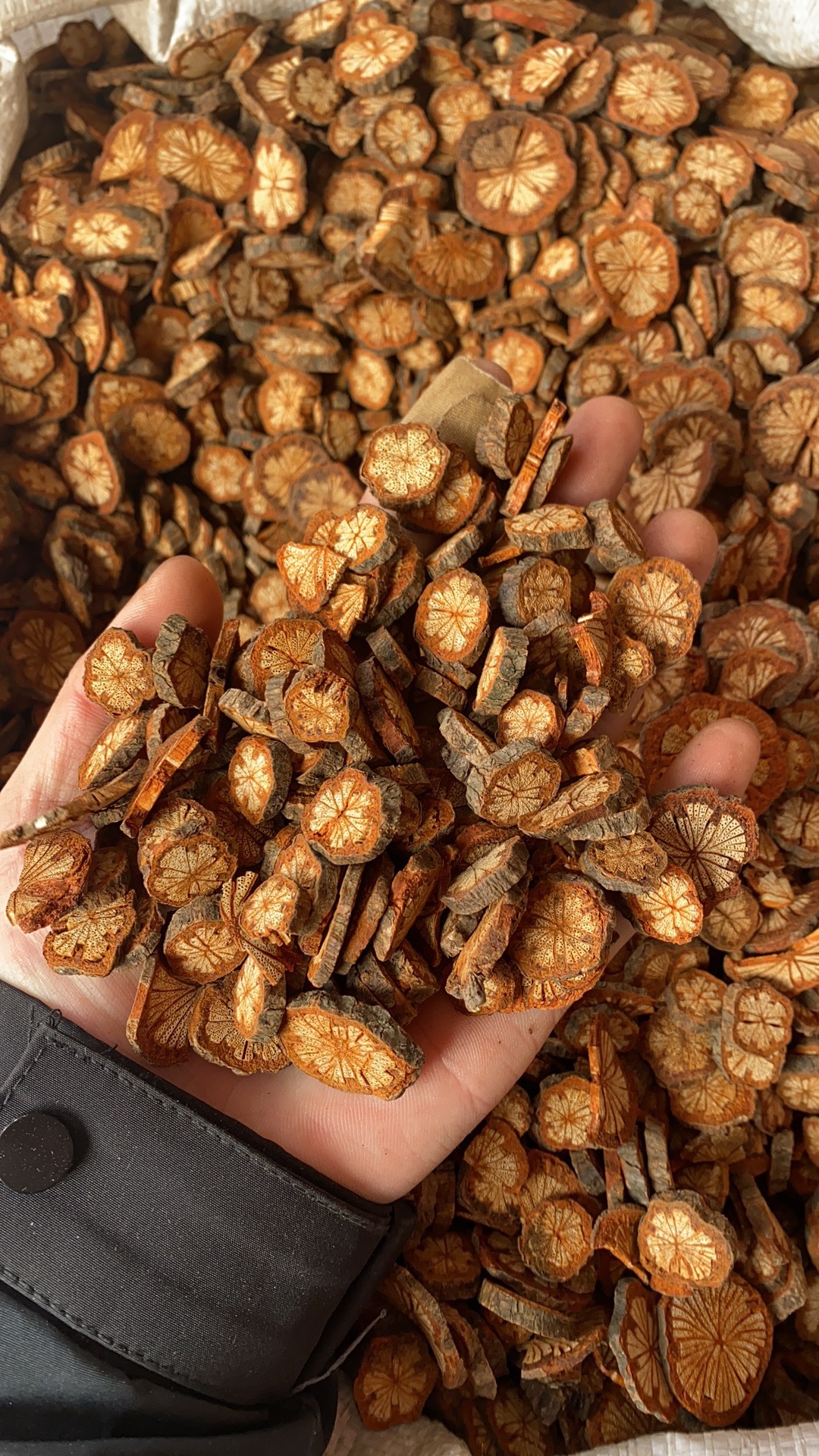 红藤 大血藤 大血通 量大从优 质量保障 一件代发