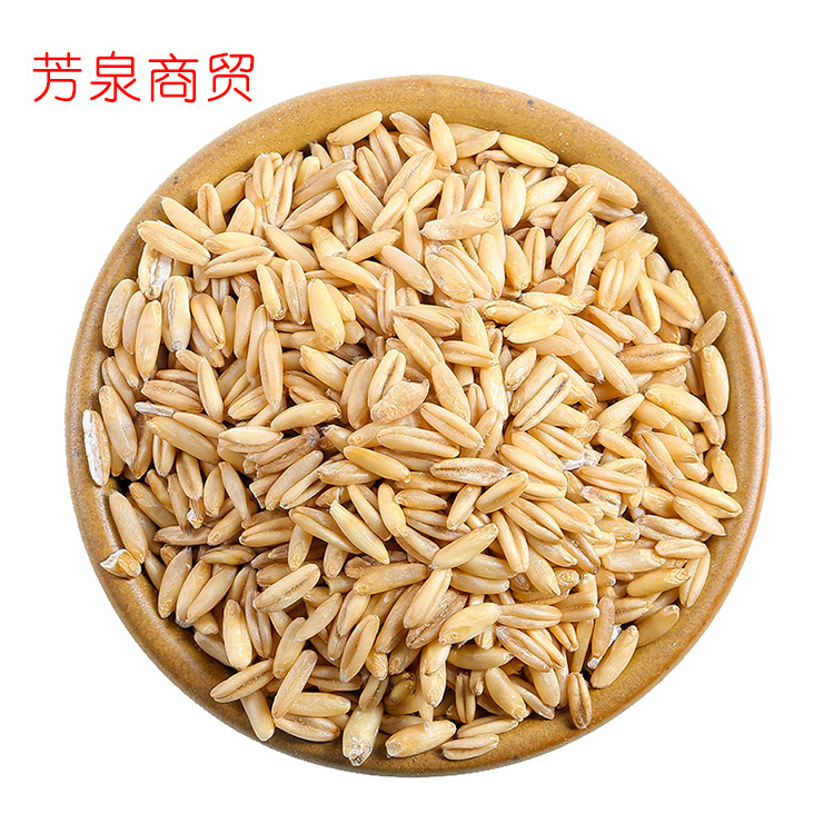 燕麦片/燕麦仁 燕麦粥 燕麦饭 500g五谷杂粮批发 量大价优