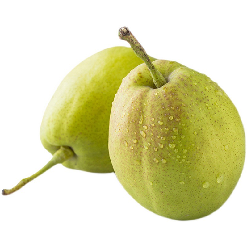 新疆库尔勒香梨5斤大果礼盒当季现摘新鲜孕妇水果整箱包邮梨子