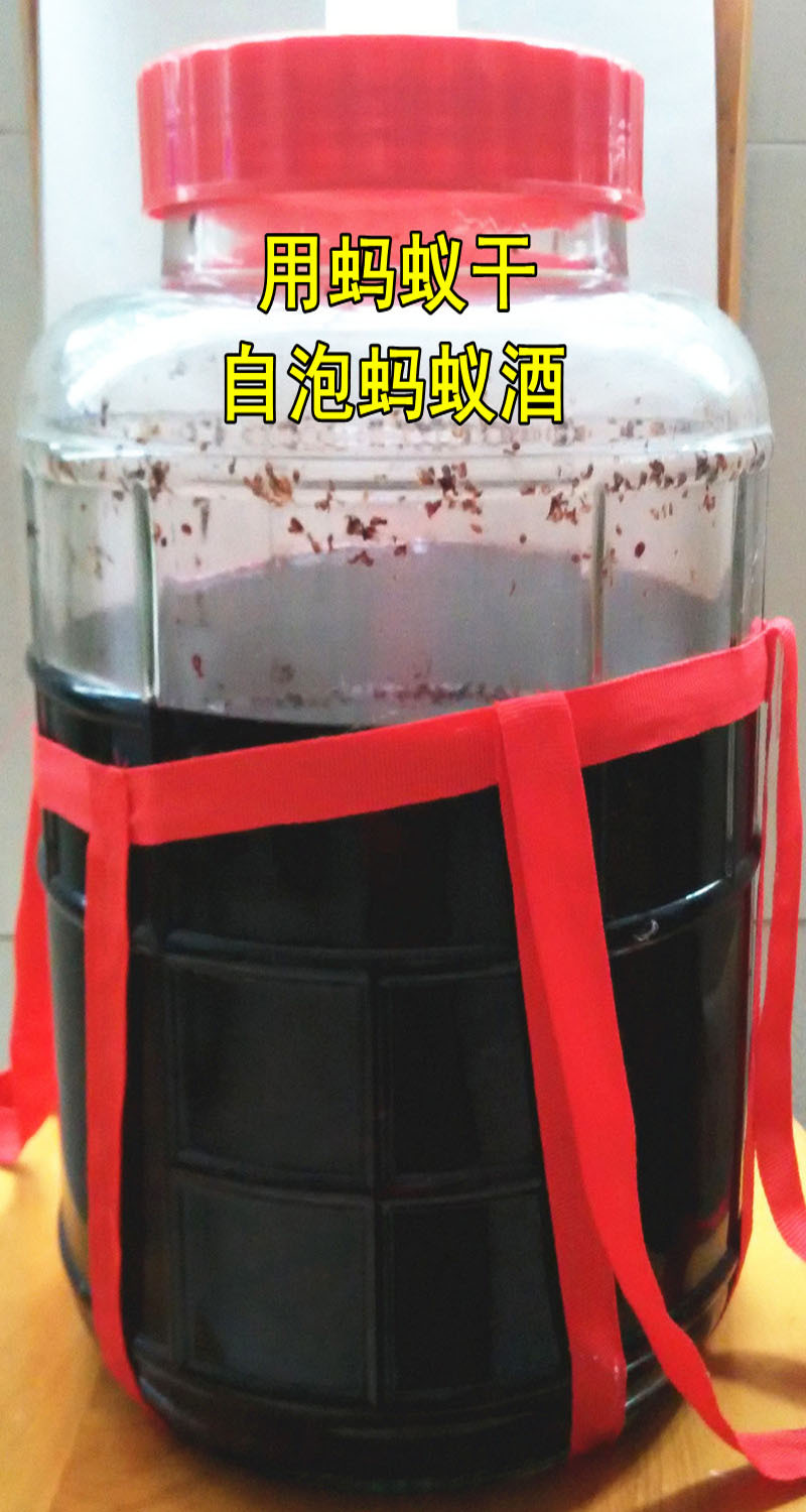 用蚂蚁干泡酒瓶 800x1500