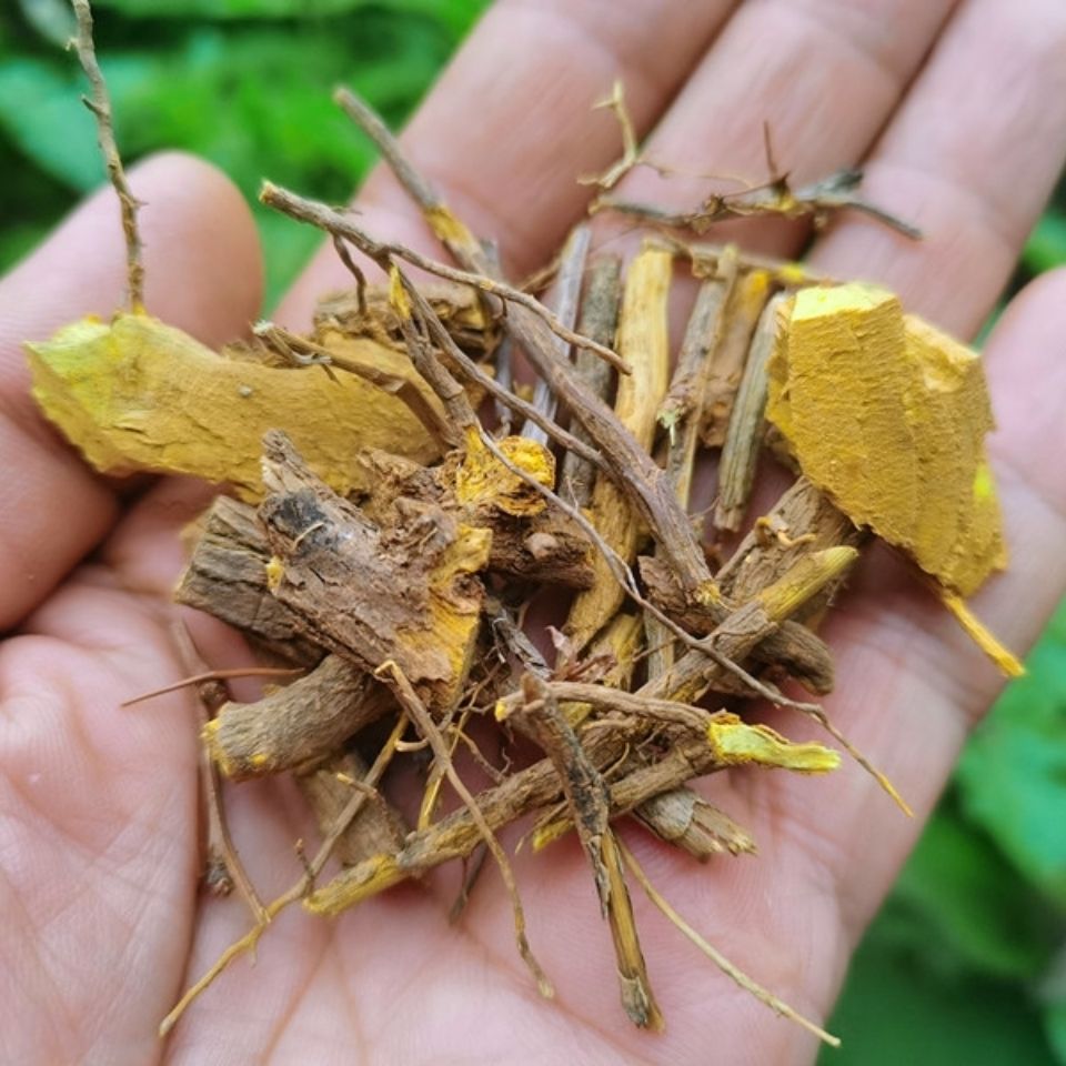 贵州三颗针 材钢刺针铜刺针黄莲刺小刺黄连500克批发-阿里巴巴