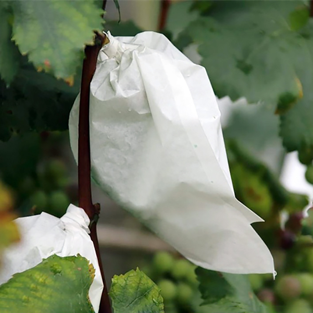 无纺布葡萄套袋 水果果袋 果园 水果果树套袋 防鸟防尘防虫透气袋