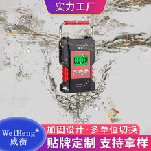 WeiHeng威衡数字防水秤便携电子吊秤带1.5米卷尺钓鱼秤50kg手提秤