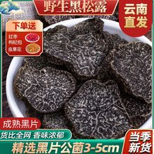 云南新鲜黑松露公菌干片500g野生煲汤食材块菌大片干货礼盒装