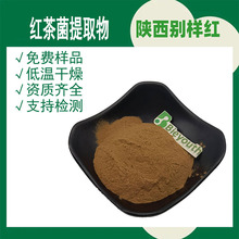 红茶菌提取物 红茶菌多糖 康普茶  10:1比例提取  水溶粉
