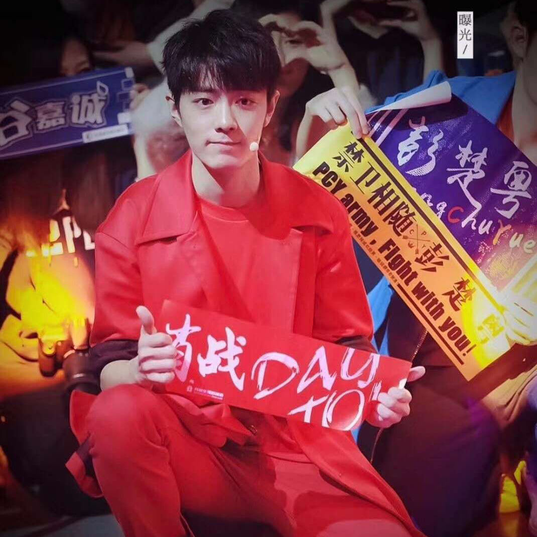 肖战应援手幅红色手幅全球粉丝后援会无纺布手幅横幅一件代发