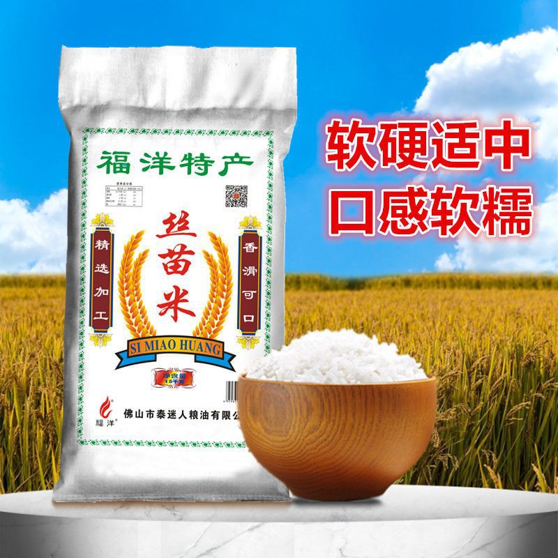 酒店专用大米增城丝苗米猫牙30斤五星象牙米长粒香米10