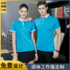 TS612612 Flax Double color POLO Waiter cook workshop coverall Printing T-shirt