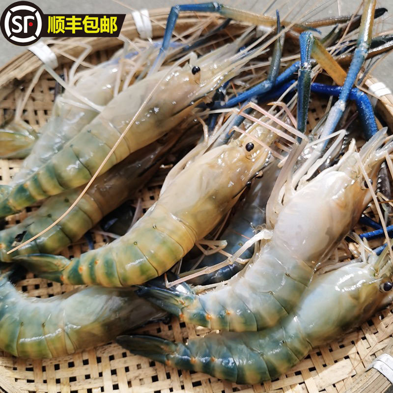 3斤顺丰包邮鲜活速冻罗氏沼虾淡水大虾河虾对虾海鲜生鲜虾基围虾