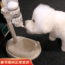 狗狗喝水器不湿嘴挂式比熊水壶不插电猫咪自动饮水机喂水宠物用品