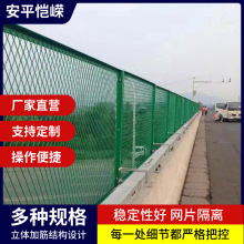 蓝色双圈防抛网绿化卷圈防抛网高速公路天桥防抛网